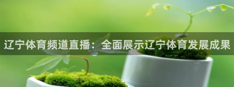 辽宁体育频道直播：全面展示辽宁体育发展成果