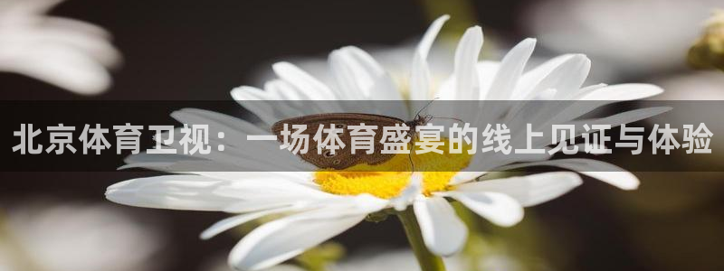 北京体育卫视：一场体育盛宴的线上见证与体验