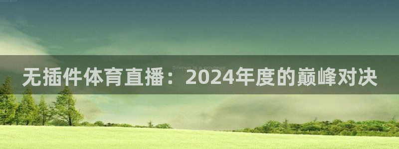 无插件体育直播：2024年度的巅峰对决